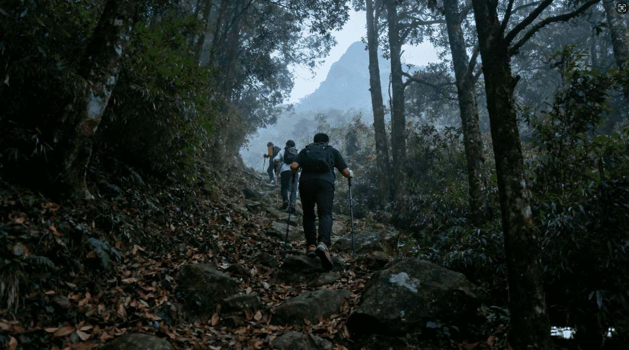 解决手机网络卡顿的免费VPN加速器选择方法